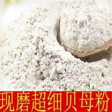 现磨中药材无硫浙贝粉贝母粉象贝粉大贝粉土贝粉散装包邮