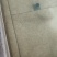 优质黄颡鱼(黄骨鱼)水花苗，一手货源，无中间商。