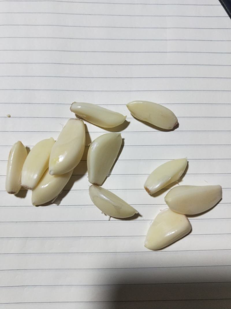 蒜米代加工腊八蒜用米食品厂用米切底不泡水微生物合格