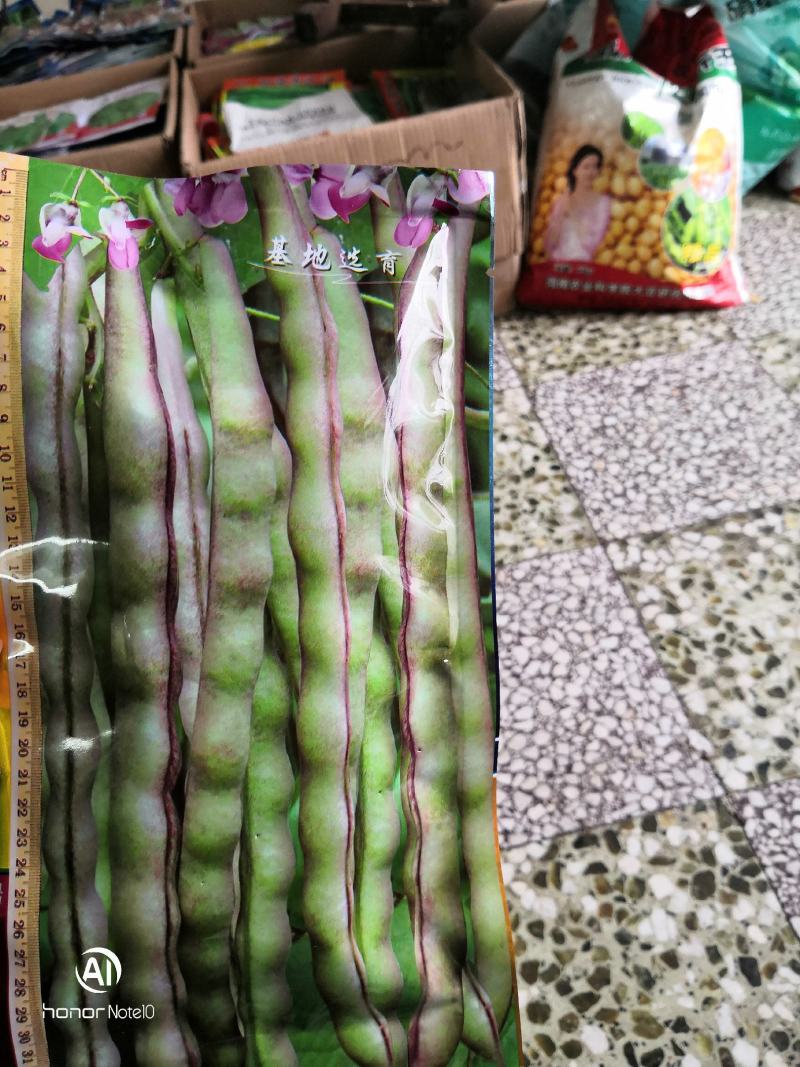 边边红泰国十粒香真好吃架豆，好婆婆，基地选育