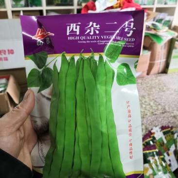 西杂二号四季豆产量高，品质佳，商品性好基地专用品种