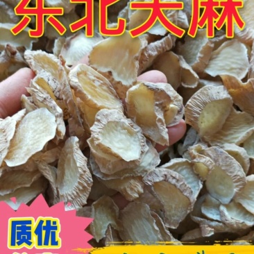 东北天麻质优价廉[大量批发一手货源]欢迎选购