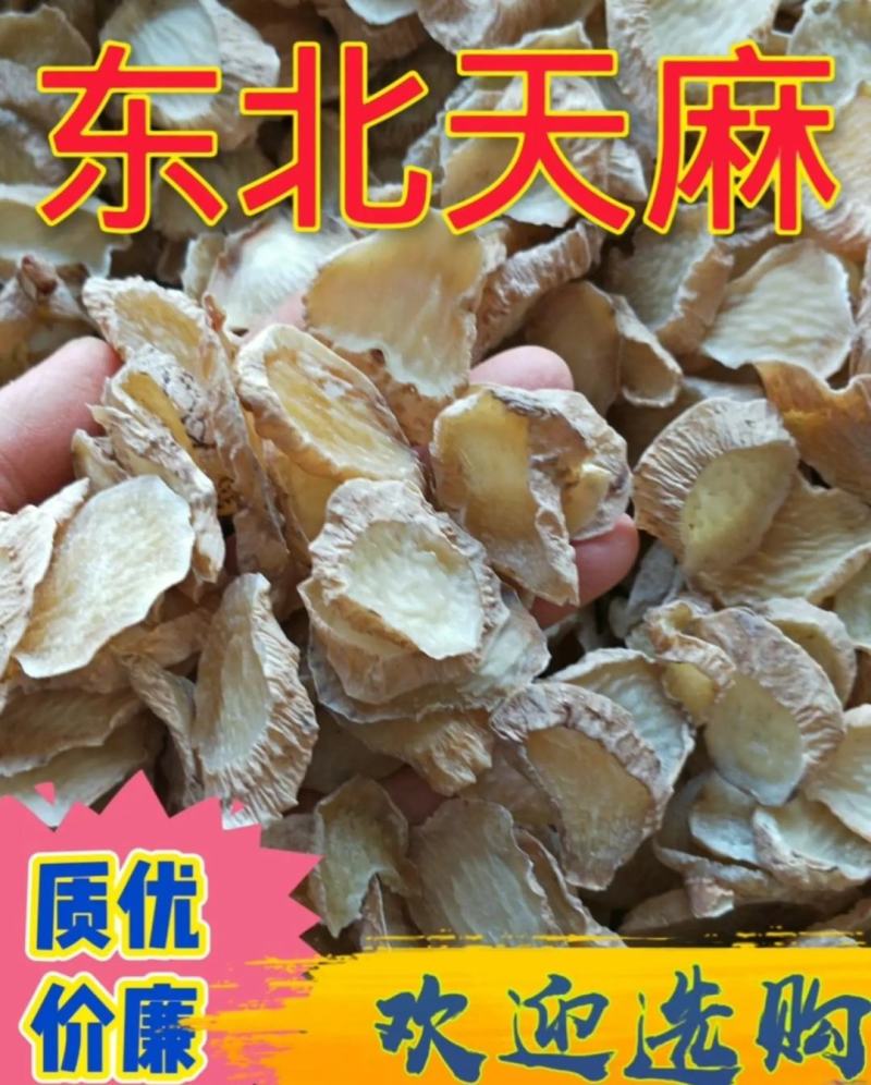 东北天麻质优价廉[大量批发一手货源]欢迎选购