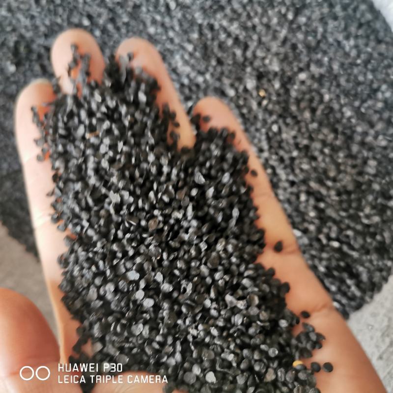 韭菜子批发韭菜子包邮保证质量葱子产地直发