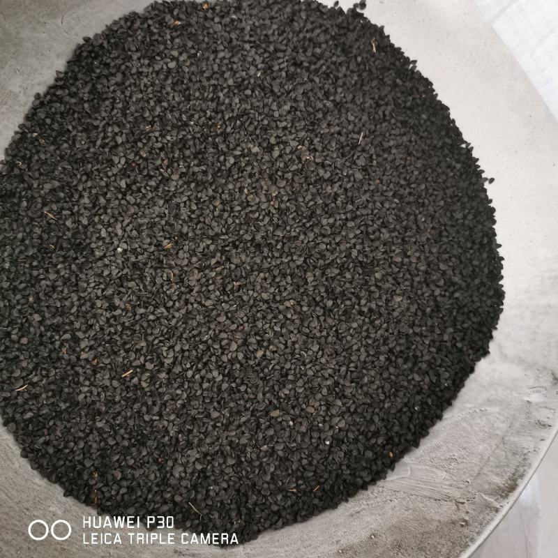 韭菜子批发韭菜子包邮保证质量葱子产地直发