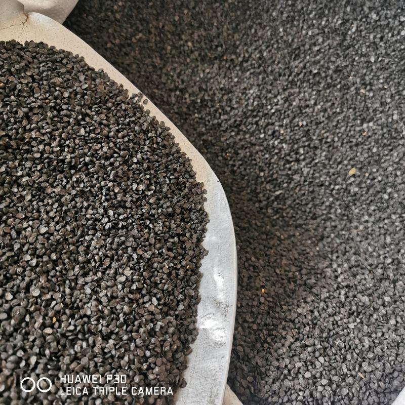 韭菜子批发韭菜子包邮保证质量葱子产地直发