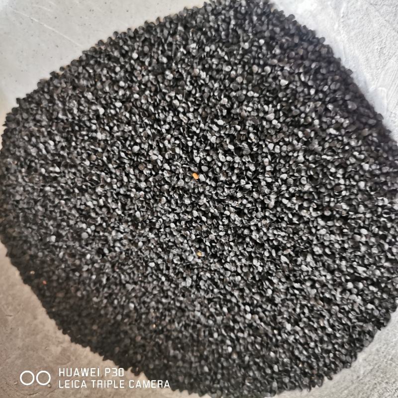韭菜子批发韭菜子包邮保证质量葱子产地直发