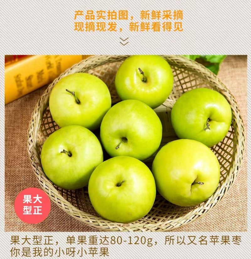 广西百色田东台湾大青枣