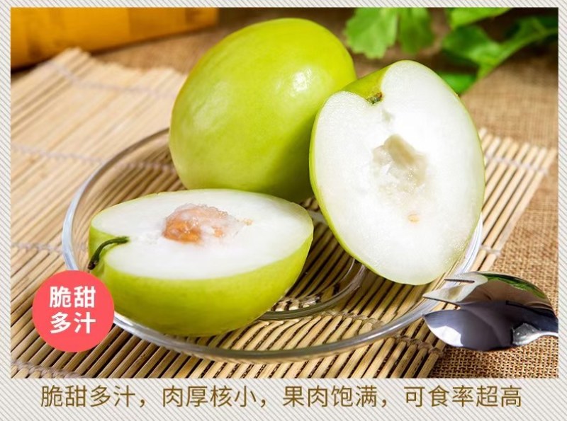广西百色田东台湾大青枣
