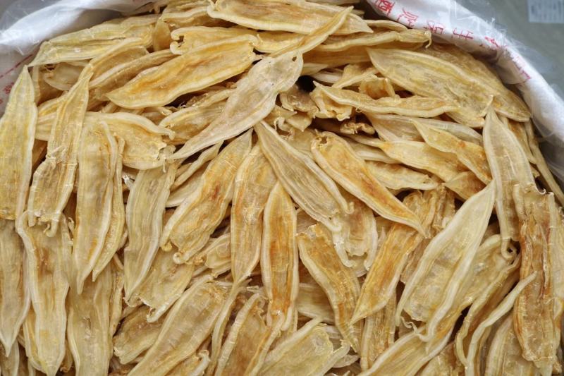 40头双背胶鱼胶花胶没有油面属于漂亮双背厚肉