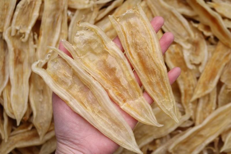 40头双背胶鱼胶花胶没有油面属于漂亮双背厚肉