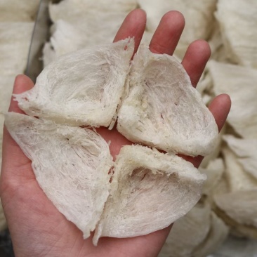 A货半干挑三角盏95干度燕窝批发印尼50g520元