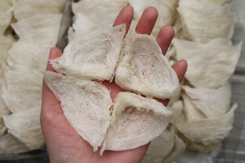 A货半干挑三角盏95干度燕窝批发印尼50g520元