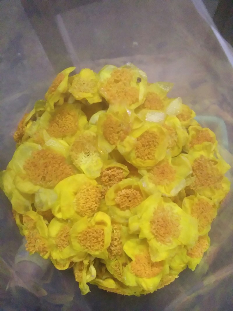 金花茶，广西防城港防普金花茶烘干花
