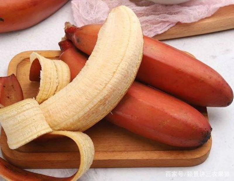 【免费包邮助农】福建漳州红皮香蕉红美人香蕉新鲜水果一件代
