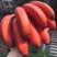 【免费包邮助农】福建漳州红皮香蕉红美人香蕉新鲜水果一件代