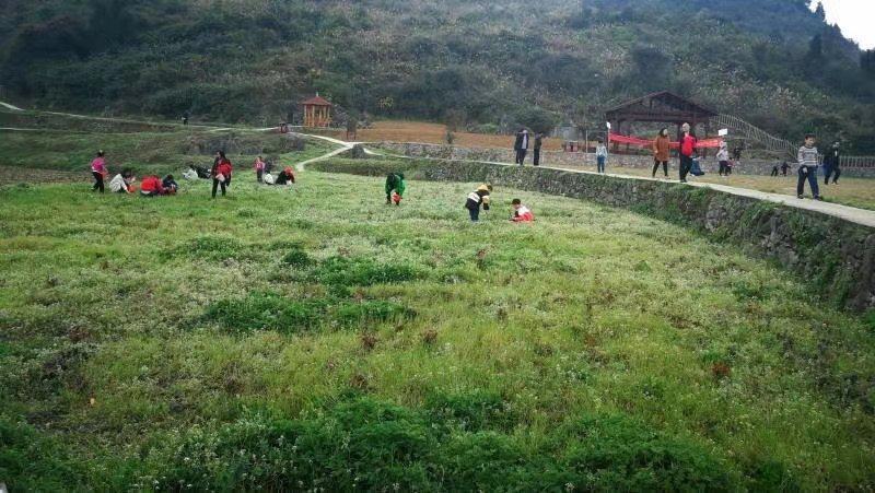 重庆北碚农庄！风景，位置好