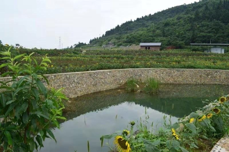 重庆北碚农庄！风景，位置好