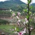 重庆北碚农庄！风景，位置好