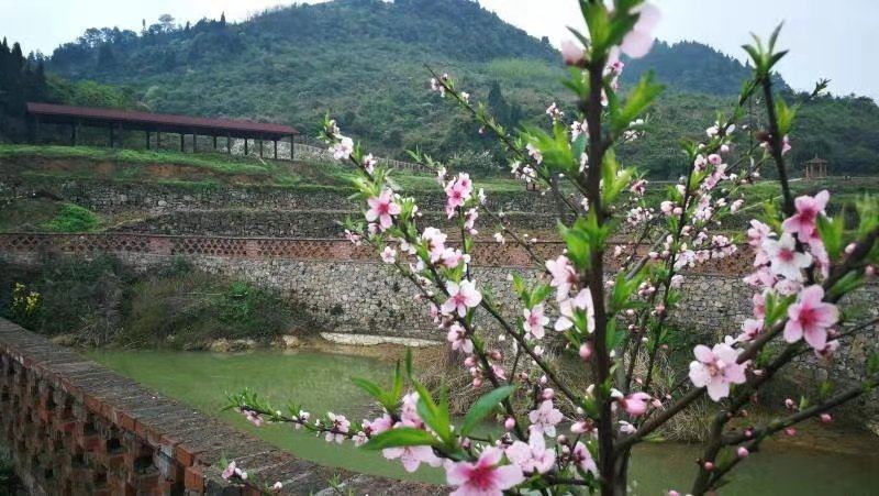 重庆北碚农庄！风景，位置好