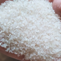 碎米，酒碎米桂林市大量有售50斤包100斤包都可选择