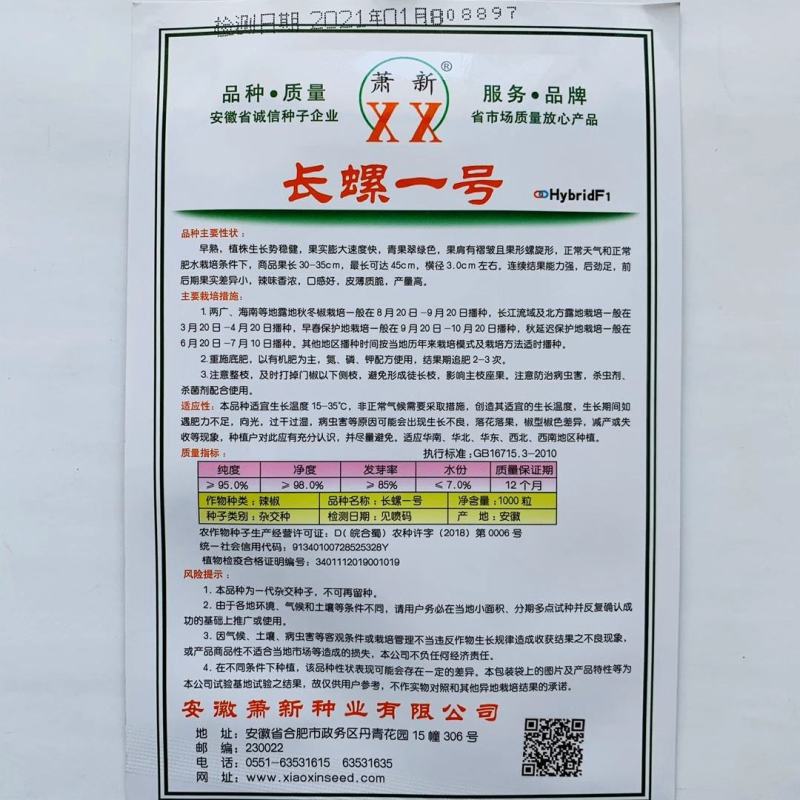 萧新长螺丝1号种子品种基地种植效果早熟品种种子