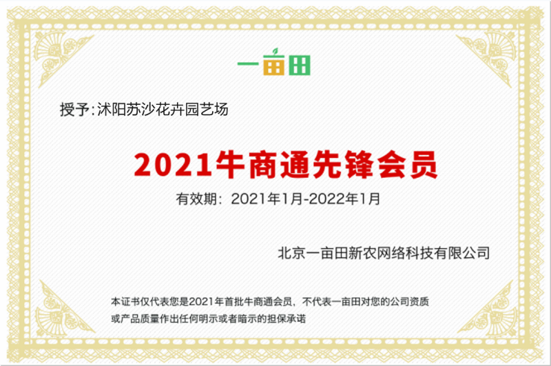 红叶李紫叶李基地直发现挖现发欢迎合作