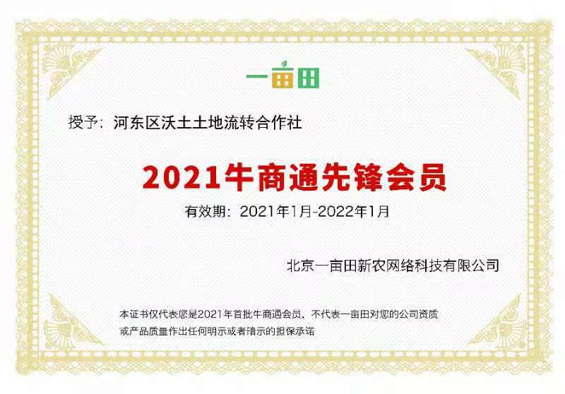 订做编织篮子柳条手工编织蓝～柳编收纳筐储物筐箱盒柳条筐