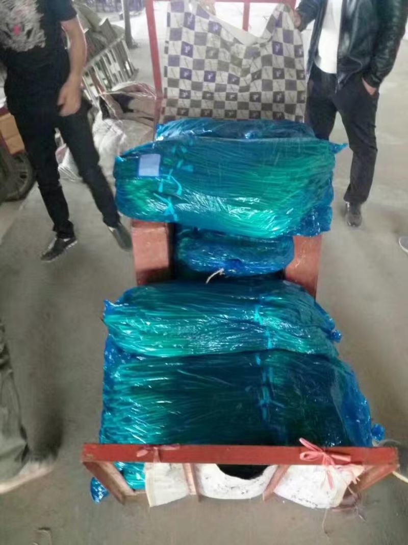 蒜薹大量供应一手货源