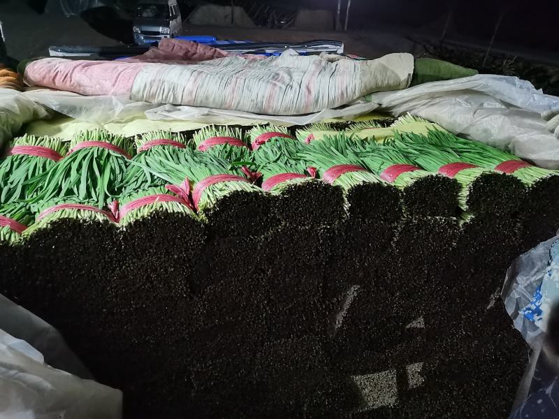 精品二刀菜，需要的老板联系