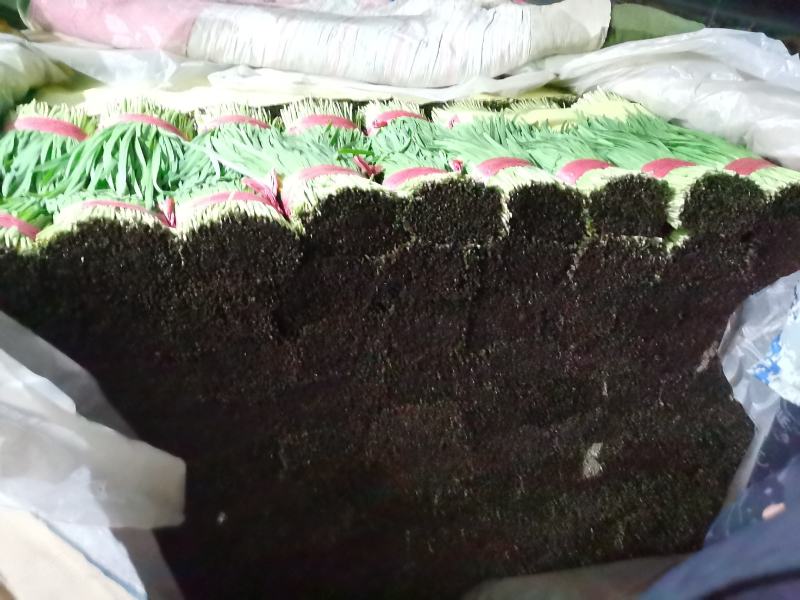 精品二刀菜，需要的老板联系