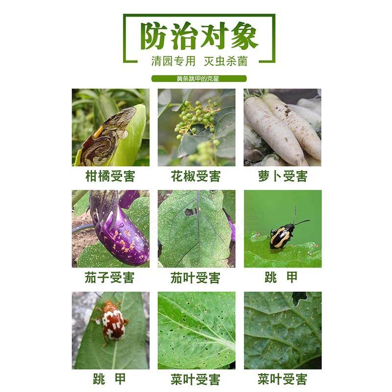 强袭甲啶虫脒哒螨灵青菜蔬菜茶叶果树黄条跳甲专用农药杀虫剂