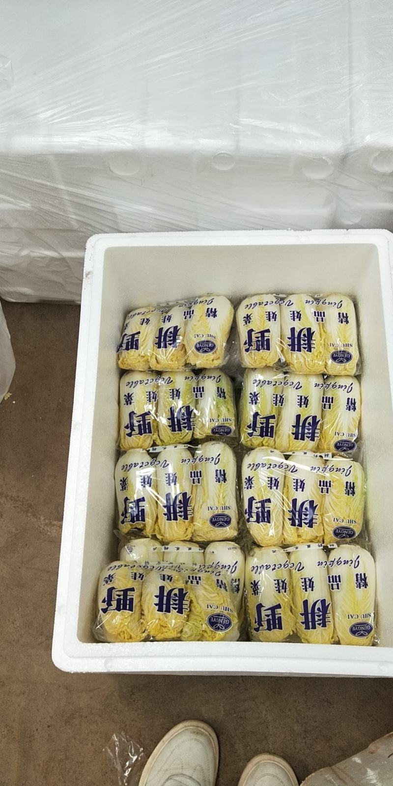 高山上的娃娃菜，有需要的联系我！