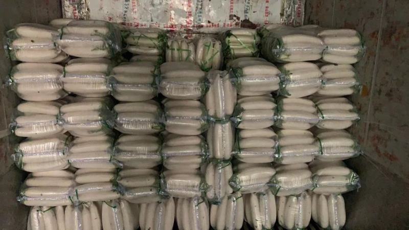 大量现货供应四川白罗卜