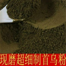 现磨中药材纯制首乌粉自制首乌粉散装包邮初级农产品