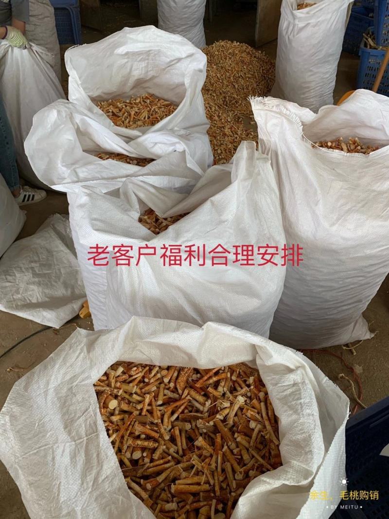 长期挖新鲜五指毛桃，专业供应地摊货工厂货档口货