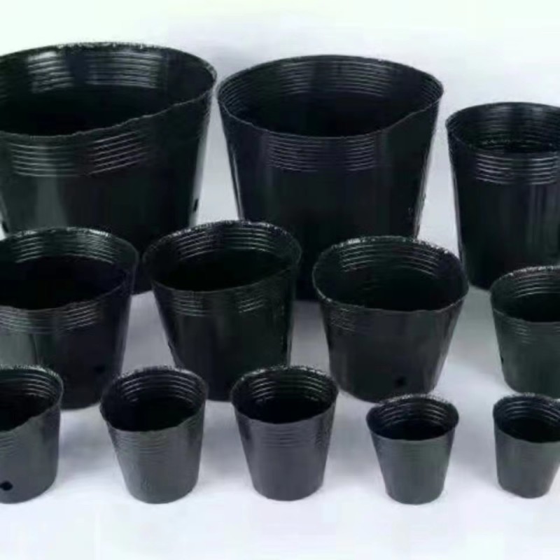 塑料营养钵加厚营养杯育苗盆育苗袋育苗杯育苗袋一次性育苗盘