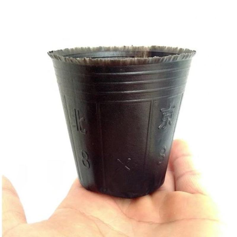塑料营养钵加厚营养杯育苗盆育苗袋育苗杯育苗袋一次性育苗盘