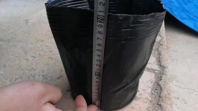 塑料营养钵加厚营养杯育苗盆育苗袋育苗杯育苗袋一次性育苗盘