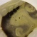 大瑶山野生红茶茶子油