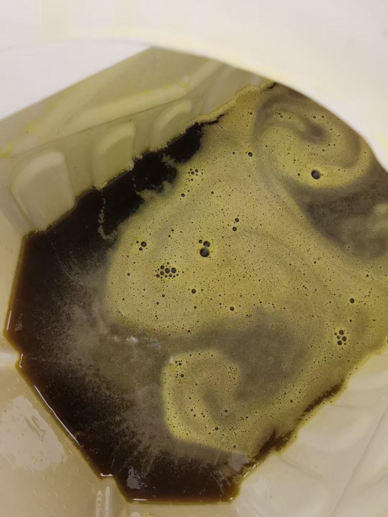 大瑶山野生红茶茶子油