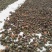 大瑶山野生红茶茶子油