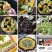 海鲜水饺虾仁墨鱼海参鲅鱼黄花水饺1斤1袋25个一箱20袋