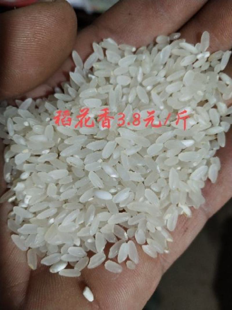 稻花香大米东北米稻花香黑龙江米志辉自产自销稻花香，大米