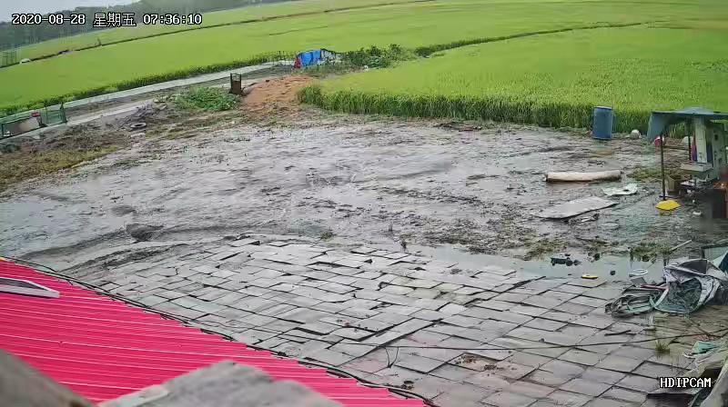 稻花香大米东北米稻花香黑龙江米志辉自产自销稻花香，大米