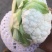 甘兰