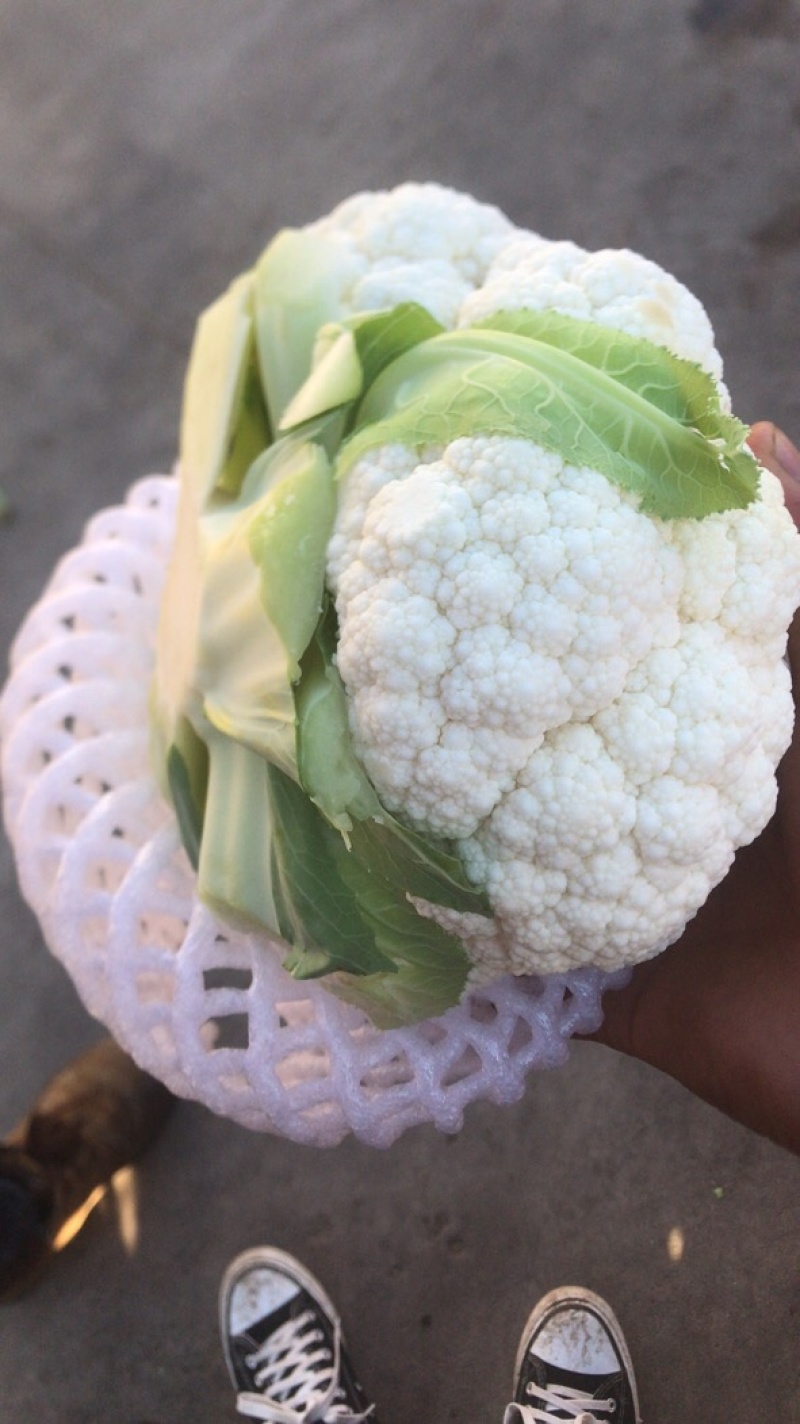 甘兰