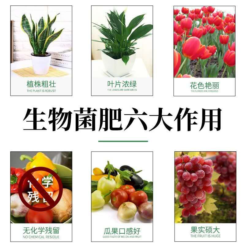海藻生物菌肥有机肥肥料疏松土壤促进生根