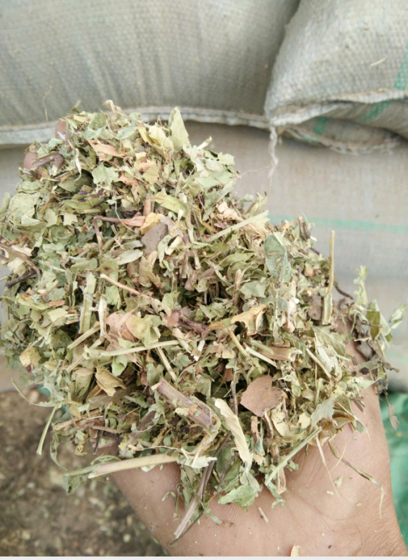 花生秧熟化颗粒料，牛羊马驴免中小草，细粉叶粉