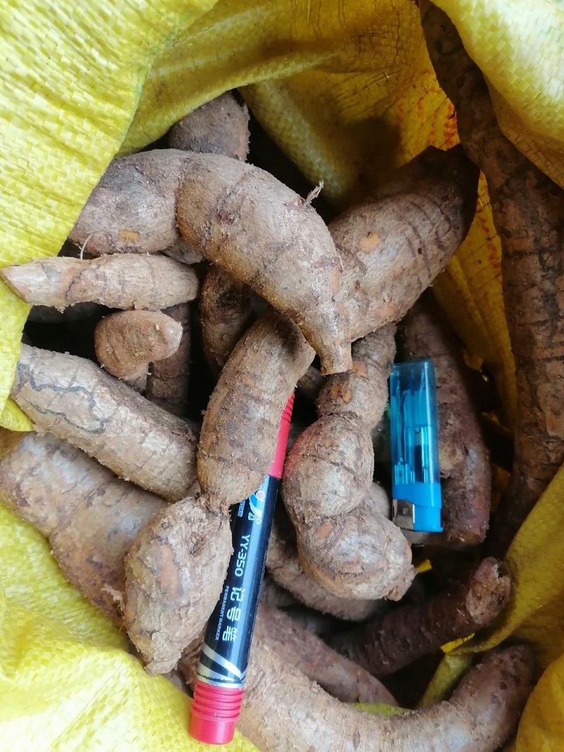 牛大力批发需要的联系我